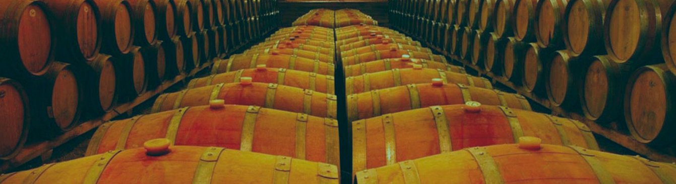viñedo_03